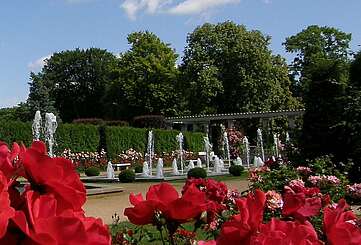Ostdeutscher Rosengarten in Forst (Lausitz)