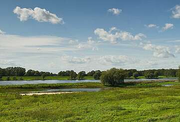 Die Elbe in der Weite der Prignitz