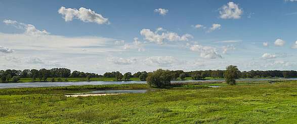 Die Elbe in der Weite der Prignitz