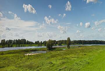 Die Elbe in der Weite der Prignitz