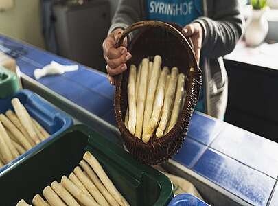 Spargel vom Syringhof in Beelitz
