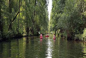 Mit dem Kajak unterwegs im Spreewald