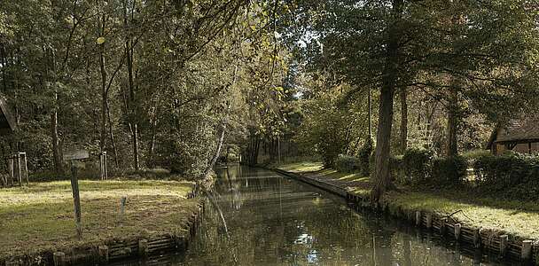 Fließ im Spreewald bei Lübben