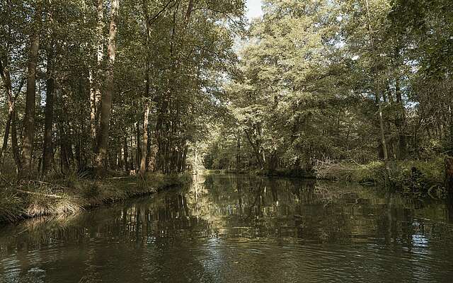 Fließ im Spreewald bei Lübben