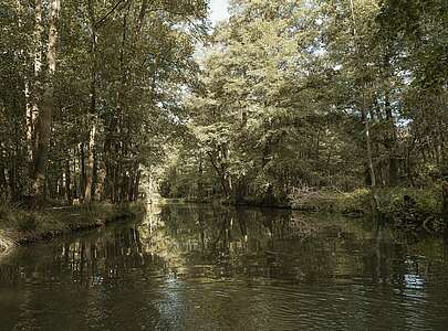 Fließ im Spreewald bei Lübben