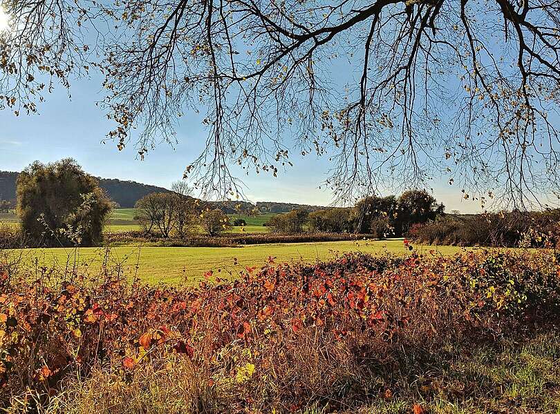 Herbstlicher Weitblick