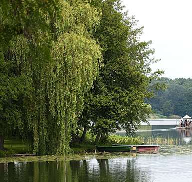 Floß auf Oberpfuhlsee bei Lychen