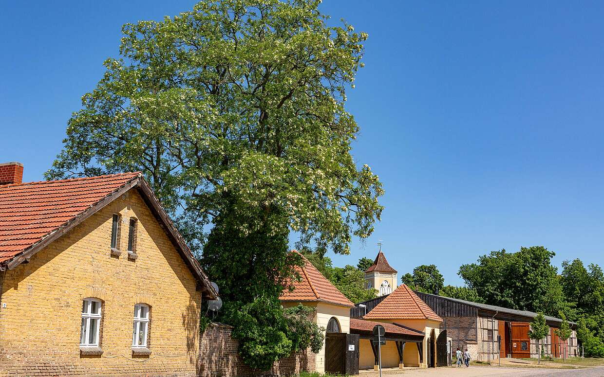 Stimmiges Ensemble: das Dorf Paretz im Havelland