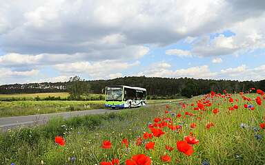 Burgenlinie durch den Hohen Fläming, Foto: Bansen / Wittig