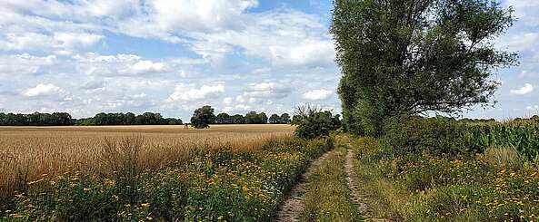 Annenpfad in der Prignitz