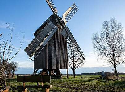 Bockwindmühle Borne