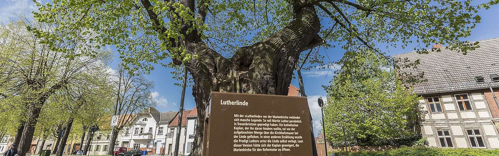 Lutherlinde in Treuenbrietzen