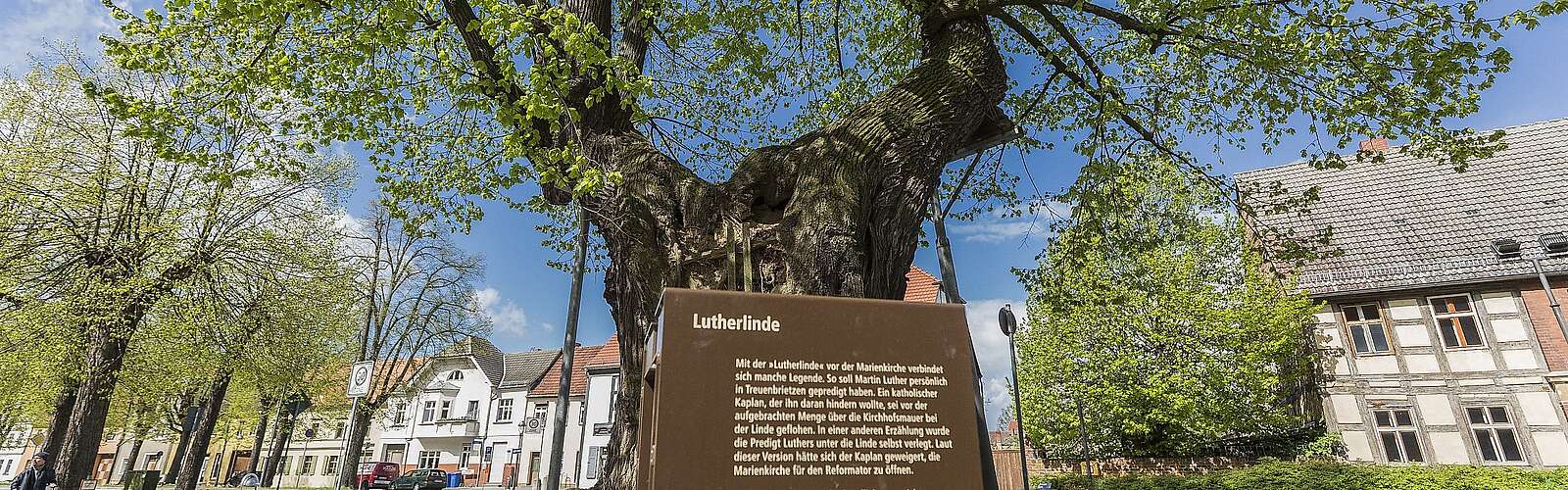 Lutherlinde in Treuenbrietzen