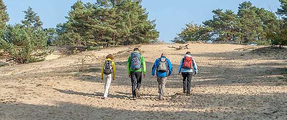Wanderer auf der Binnendüne bei Storkow