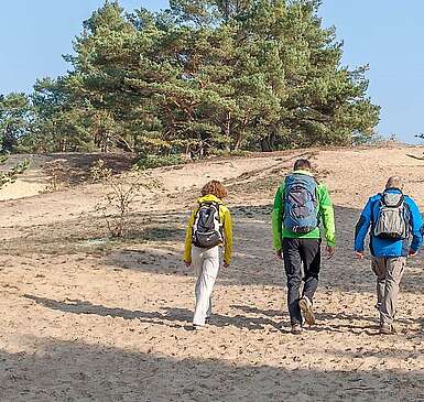 Wanderer auf der Binnendüne bei Storkow