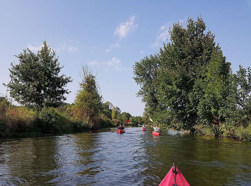 Mit dem Kajak unterwegs im Spreewald