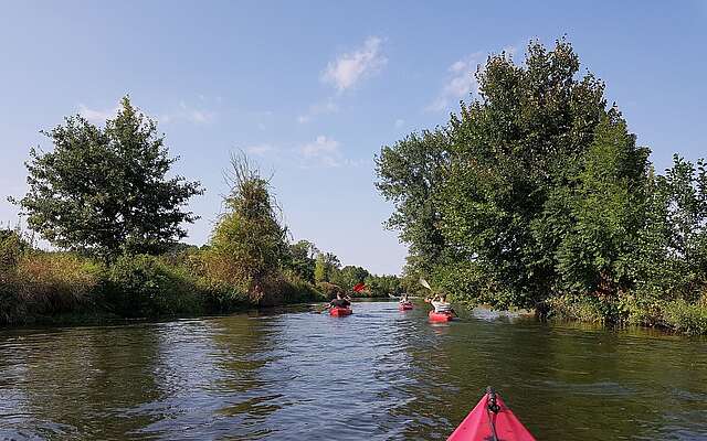 Mit dem Kajak unterwegs im Spreewald