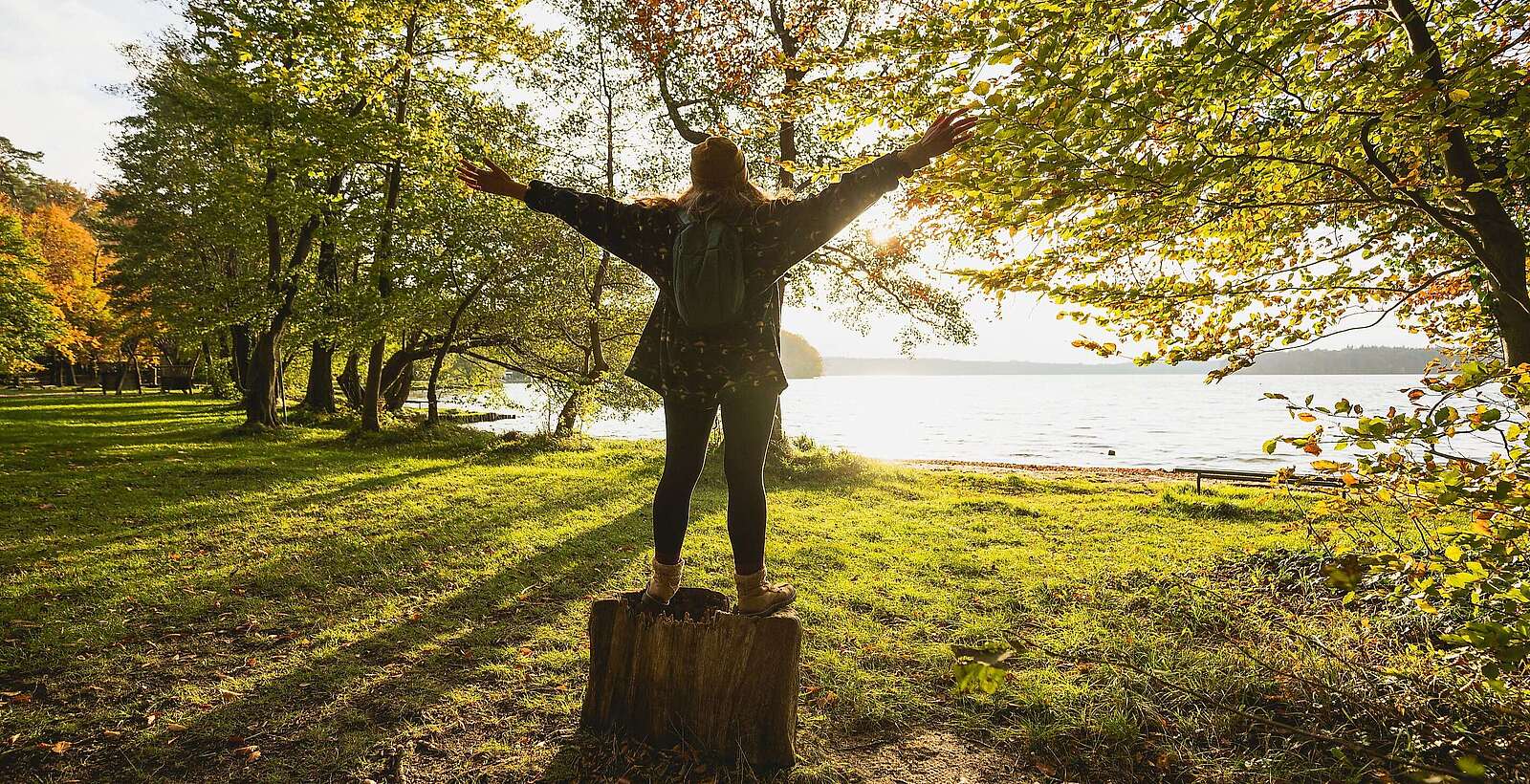 Am Stechlinsee im Herbst