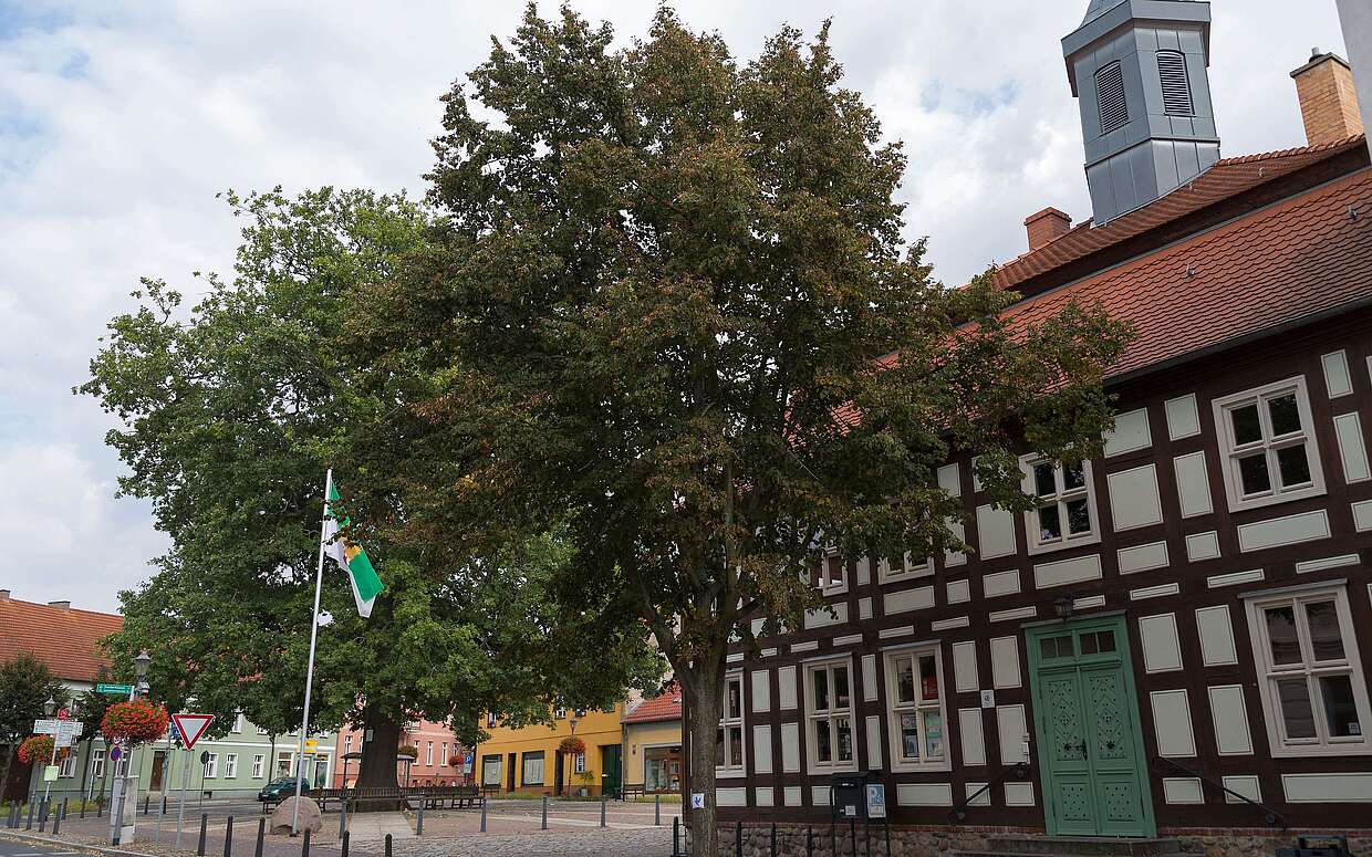Marktplatz von Biesenthal