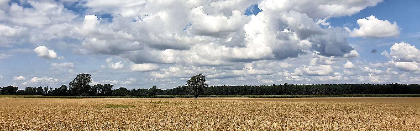 Annenpfad in der Prignitz