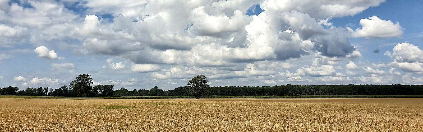Annenpfad in der Prignitz