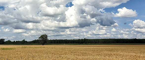 Annenpfad in der Prignitz