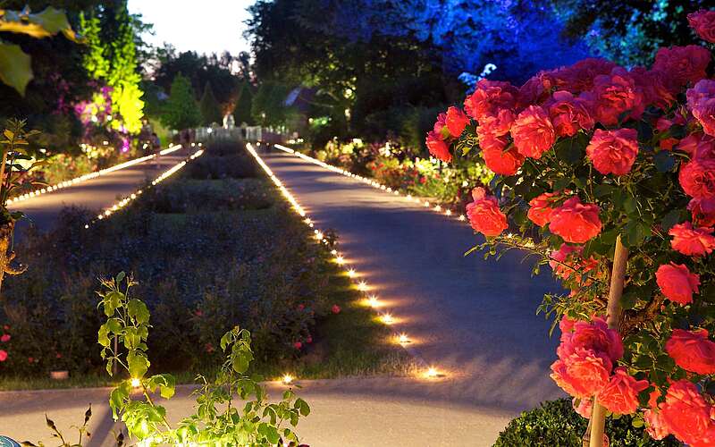 Ostdeutscher Rosengarten Forst