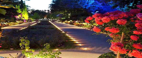 Ostdeutscher Rosengarten Forst