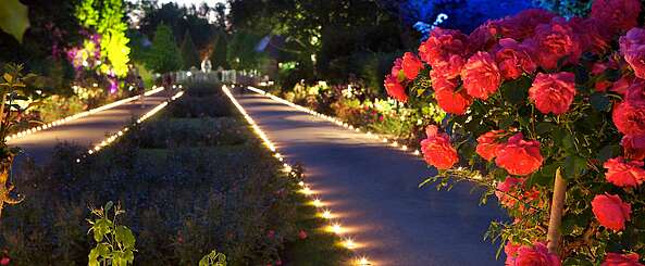 Ostdeutscher Rosengarten Forst