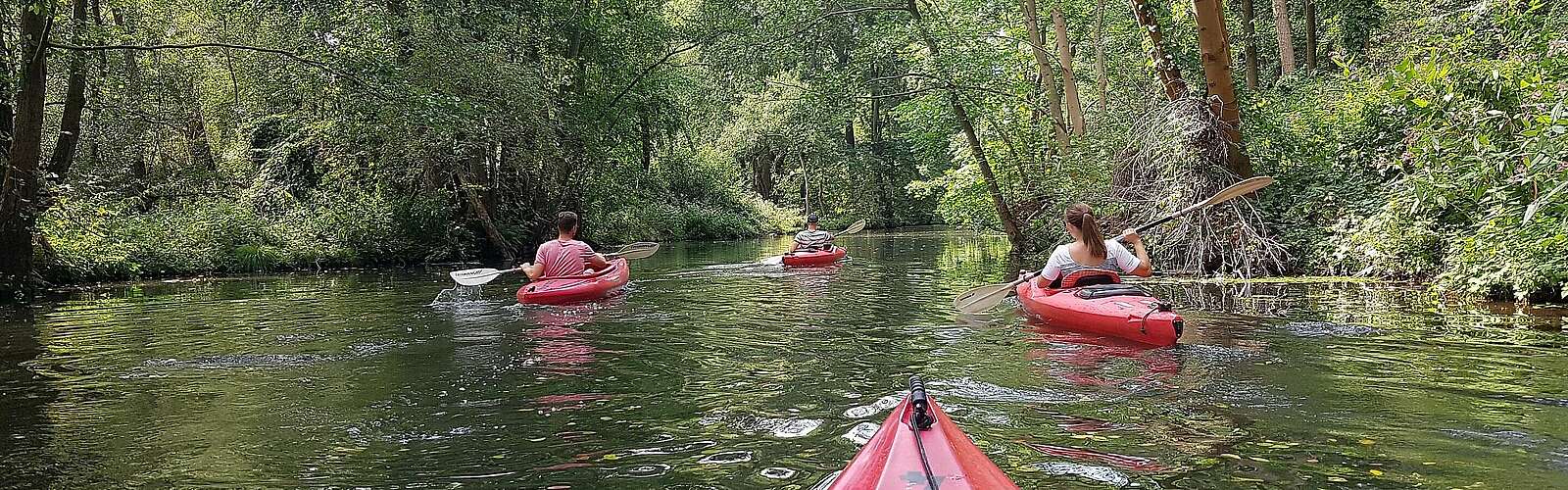 Mit dem Kajak unterwegs im Spreewald