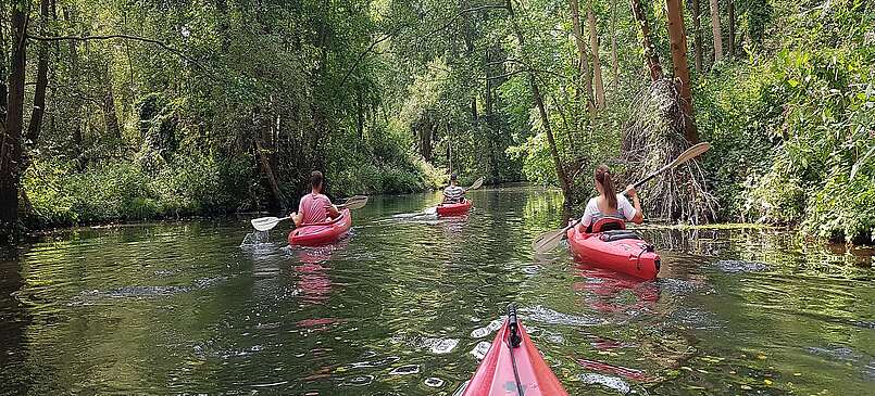 Mit dem Kajak unterwegs im Spreewald
