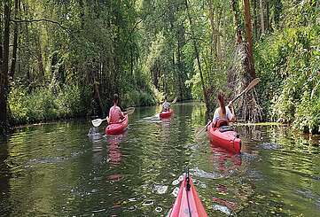 Mit dem Kajak unterwegs im Spreewald