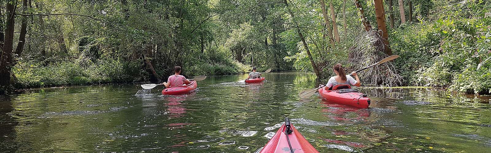 Mit dem Kajak unterwegs im Spreewald
