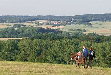 Eselwanderung durch die Uckermark