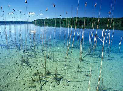Großer Stechlinsee