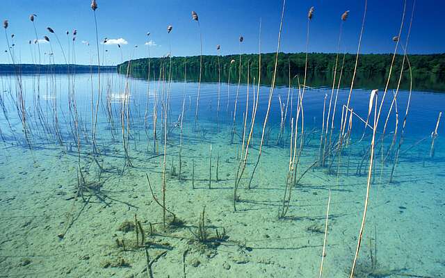Großer Stechlinsee