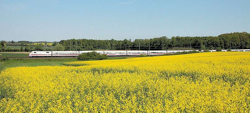 ICE 2 nach Berlin an einem Rapsfeld
