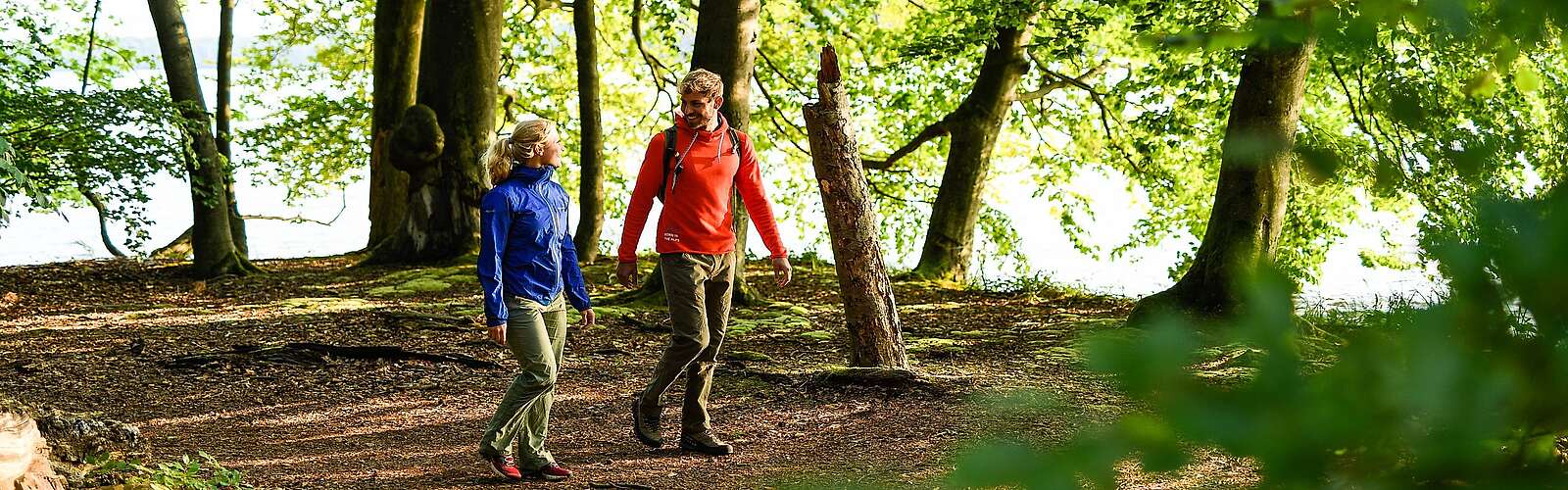 Wanderer im Naturpark Stechlin-Ruppiner Land