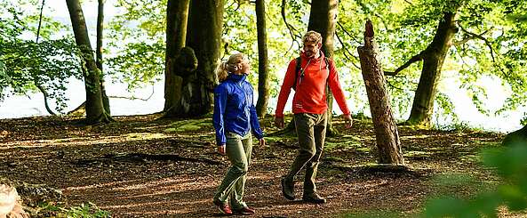 Wanderer im Naturpark Stechlin-Ruppiner Land