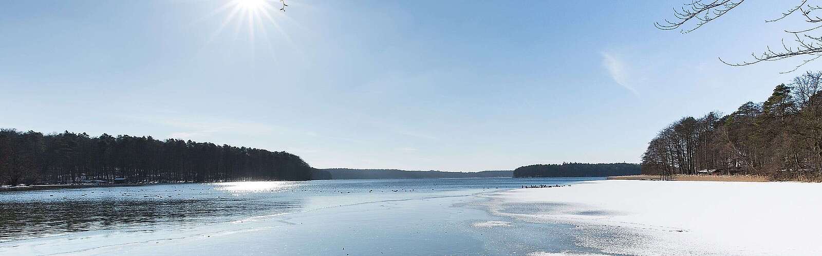 Winterlicher Stechlinsee