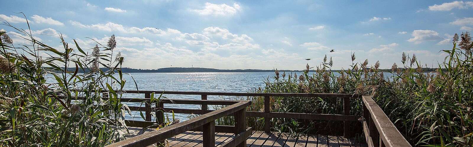 Blankensee