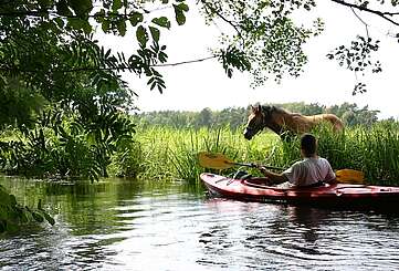Kanuwanderer auf dem Rheinsberger Rhin