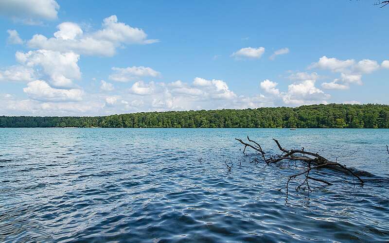 Blick auf den Stechlinsee