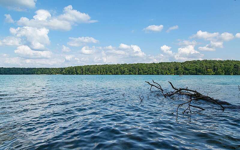 Blick auf den Stechlinsee