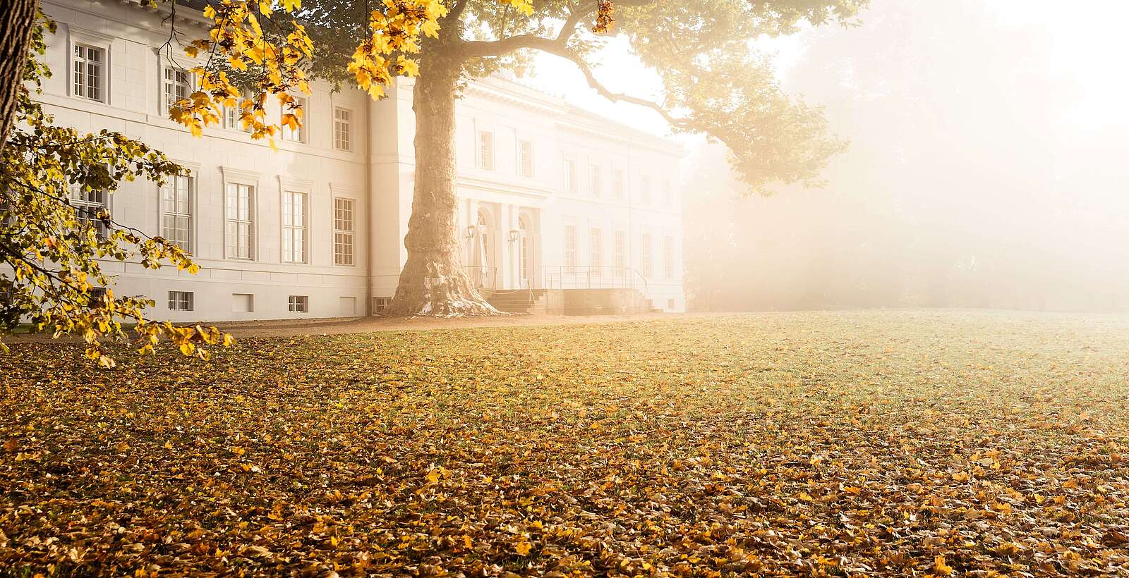 Schloss Neuhardenberg im Herbstnebel