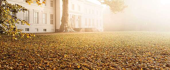 Schloss Neuhardenberg im Herbstnebel