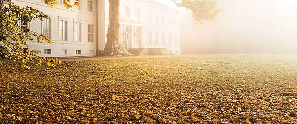 Schloss Neuhardenberg im Herbstnebel