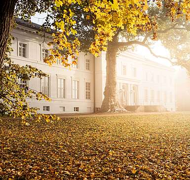 Schloss Neuhardenberg im Herbstnebel