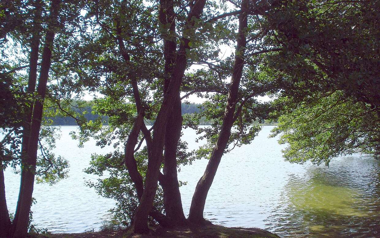 Ideal zum Baden: der Schwärzesee, der mitten im Wald zwischen Eberswalde und Melchow liegt.