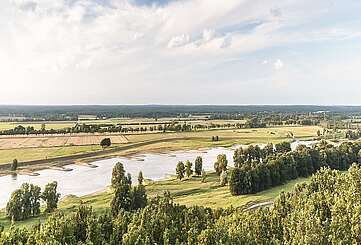 Elbtalaue bei Lenzen
